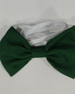 Gravatinha C/ Elastico Borboleta Verde Bandeira